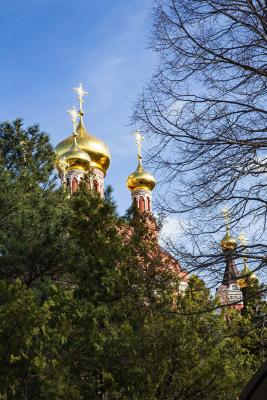 Прикрепленное изображение: IMG_7662.jpg